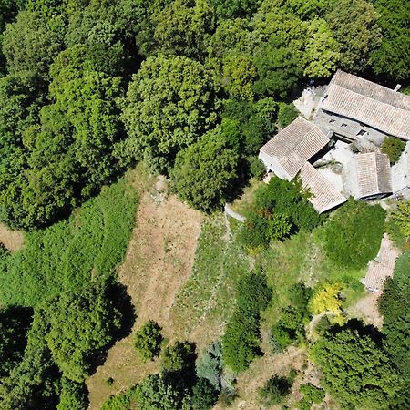 Mas Des Nabieres Saint-Martial (Gard) Exterior foto
