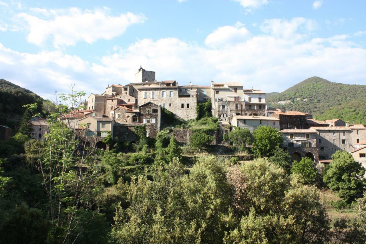 Mas Des Nabieres Saint-Martial (Gard) Exterior foto
