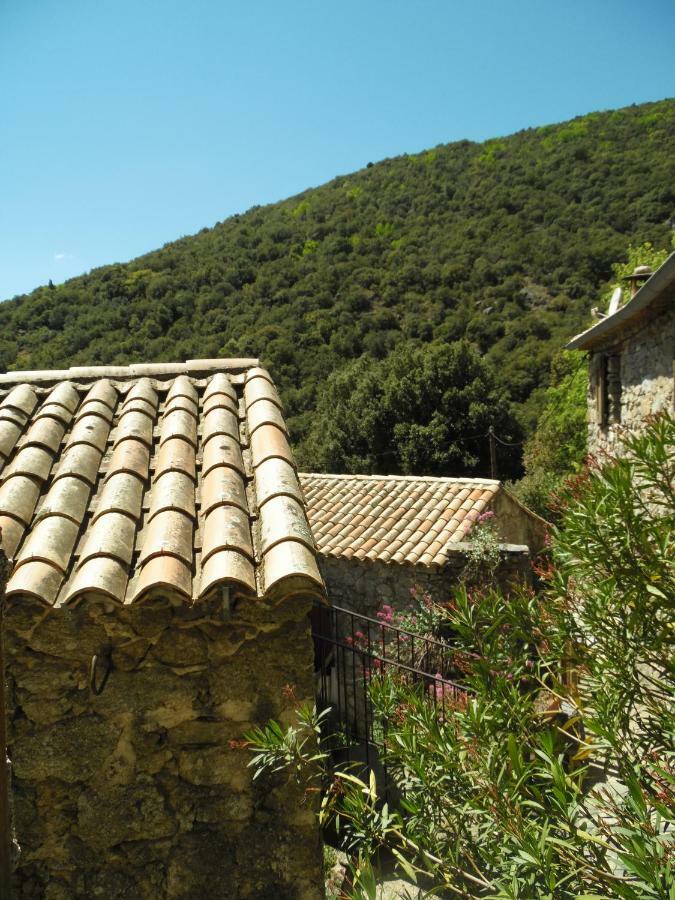 Mas Des Nabieres Saint-Martial (Gard) Exterior foto