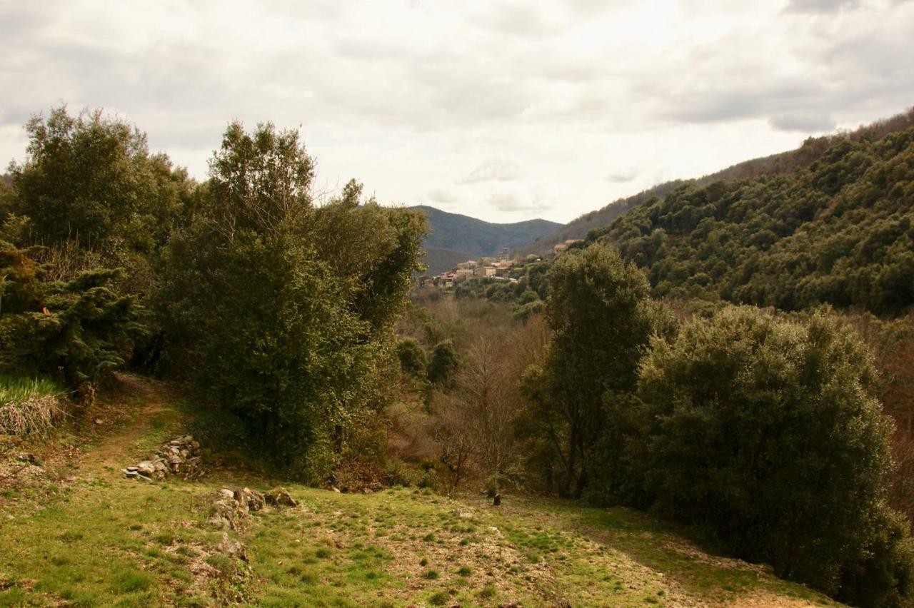 Mas Des Nabieres Saint-Martial (Gard) Exterior foto